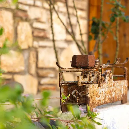 Alexandros Holiday home Megisti